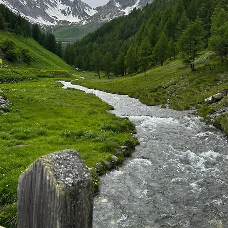 Belle Vue Des Alpes * Blevy